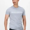 Acheter Maintenant Calvin Klein T-shirt Institutional Logo Slim Ss Tee En Gris 19