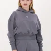 Top ventes Calvin Klein Chandail Back Two Tone Monogram Hoodie En Gris 17