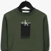 marques de renommée Calvin Klein Chandail Gradient Logo Sweatshirt En Vert 8