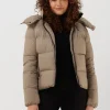 Calvin Klein Veste Matelassé Ck Mw Down Short Puffer En Taupe Nouveau 17