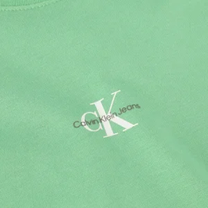 Calvin Klein T-shirt Micro Monolgo Tee En Vert l'unique style 15