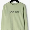 mode Calvin Klein Pull Institutional Logo Sweatshirt En Vert 13