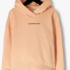 Pas Cher Magasin Soldes Calvin Klein Logo Boxy Hoodie En Orange 11